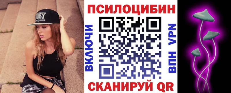 Псилоцибиновые грибы Cubensis  Бавлы 