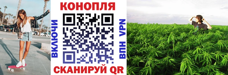 KRAKEN   Бавлы  Шишки марихуана гибрид  как найти закладки 